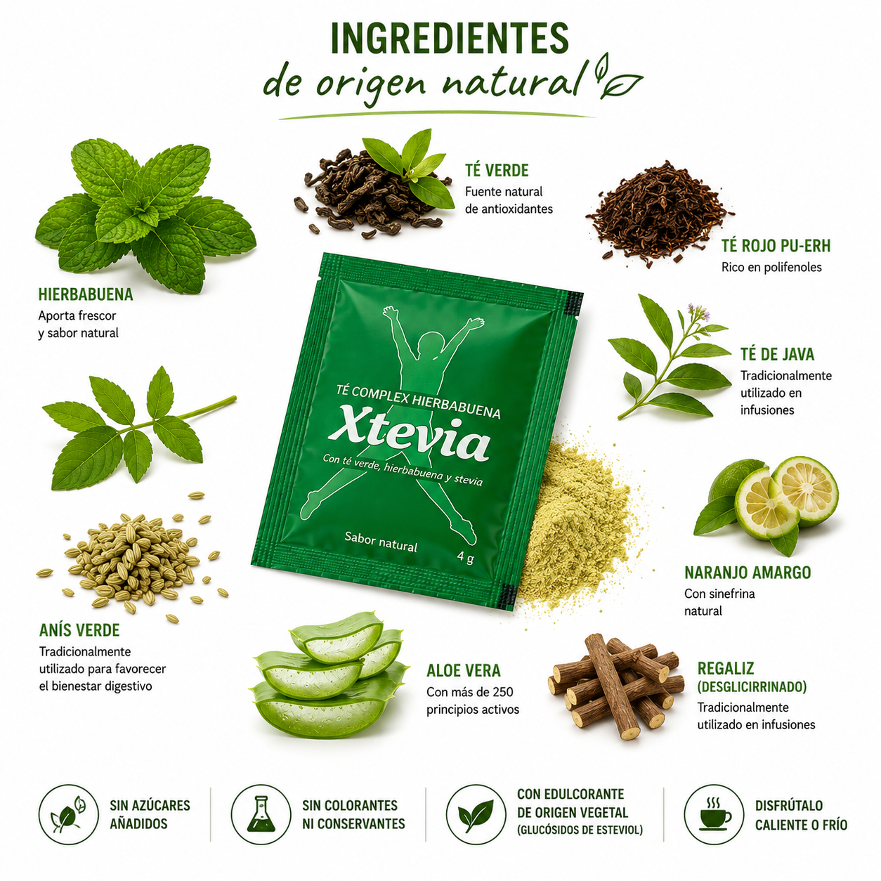 te exialoe hierbabuena xtevia (1)